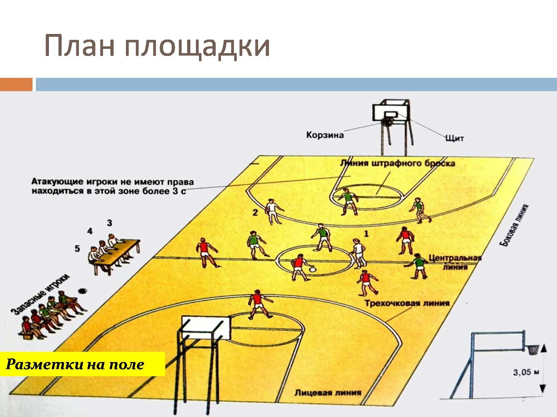 Максимальное количество игроков в баскетболе на поле. Схема баскетбольной площадки с названиями. Расстановка игроков на баскетбольной площадке. План площадки баскетбола. Баскетбольная площадка план.