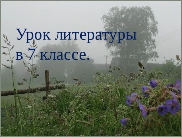 Урок тихое утро казаков 7 класс. Ю Казаков тихое утро. Тихое утро». Взаимоотношения детей, взаимопомощь, взаимовыручка.. Тихое утро урок литературы в 7 классе. Проект на тему тихое утро.