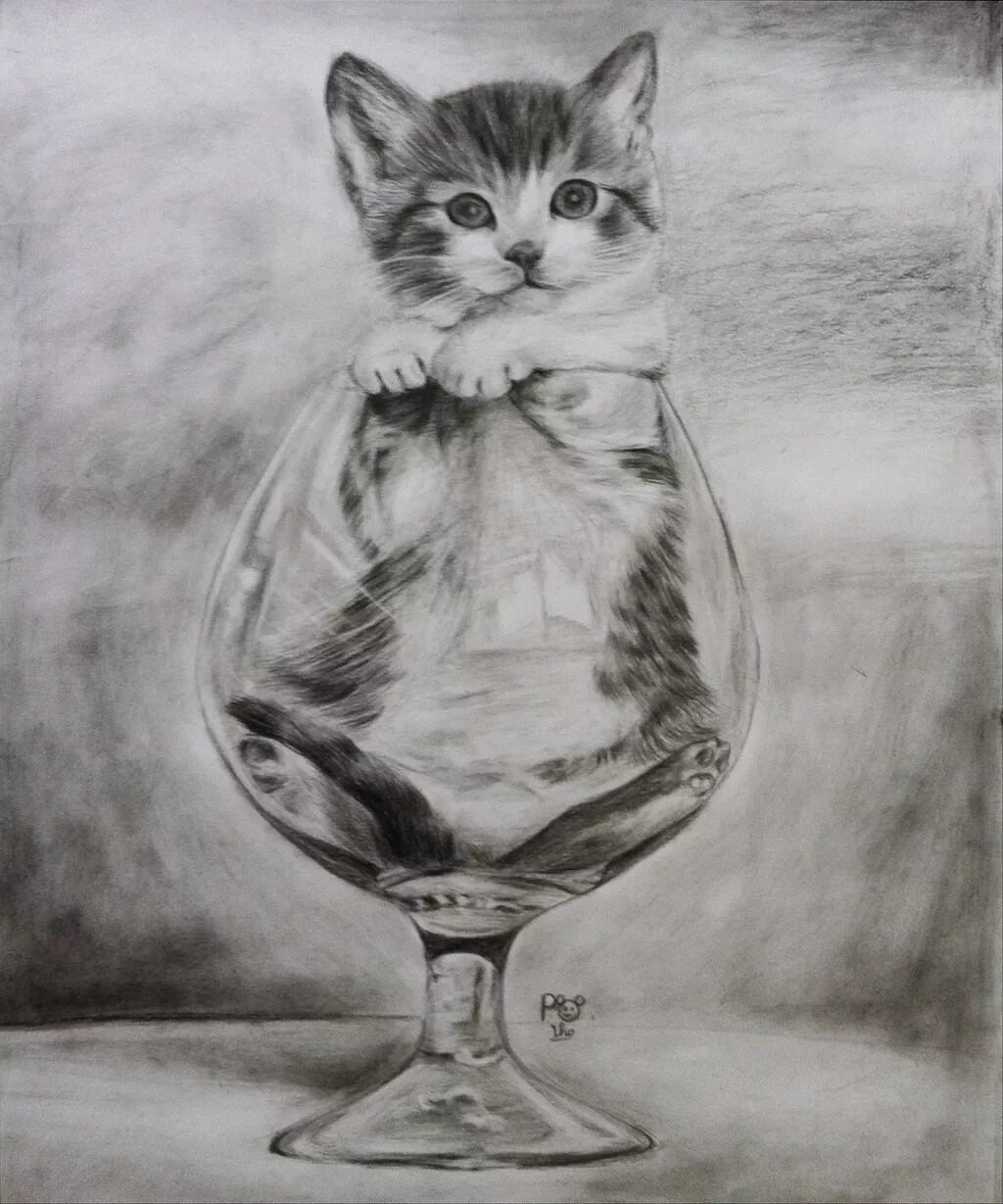 Фото рисунка кошки. Рисунки котиков. Кот карандашом. Красивые рисунки. Кошка рисунок карандашом.