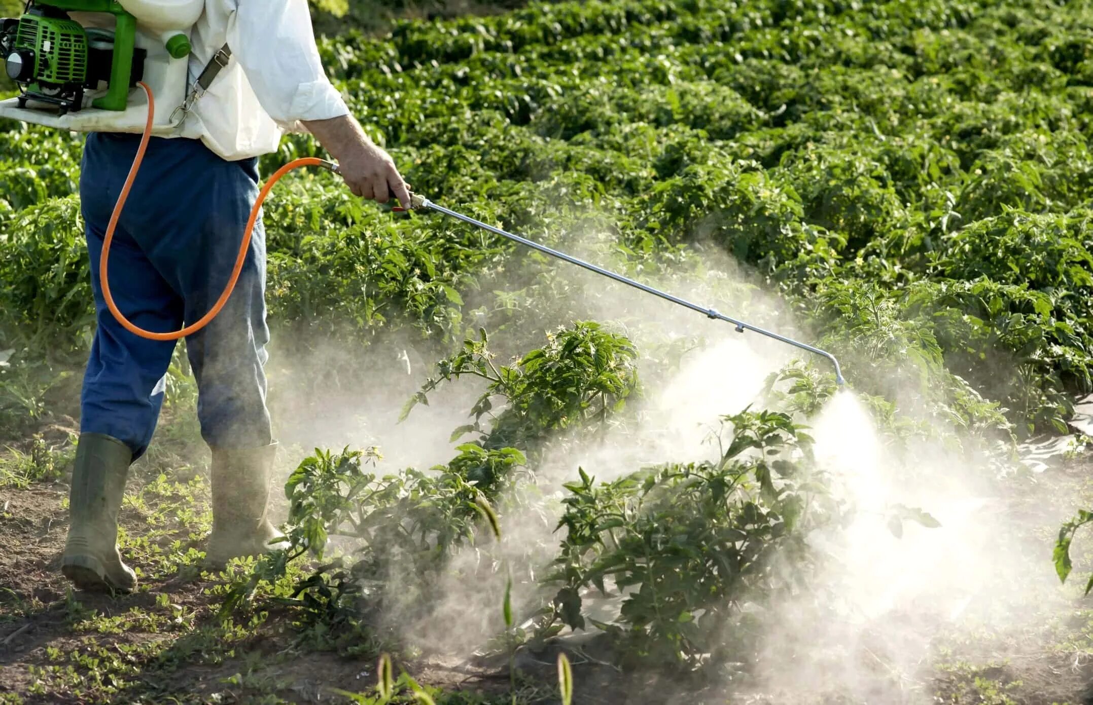 Увеличение пестицидов. Пестициды. Сельское хозяйство загрязнение. Загрязнение почвы пестицидами. Пестициды и гербициды.