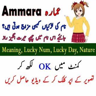 pom pom meaning in urdu - radom-m.com.