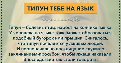 Серый языку взрослого