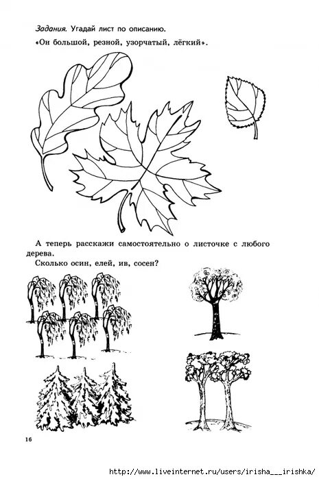 Развивающие задания на тему деревья. Деревья задания для дошкольников. Рабочий лист по теме деревья леса. Деревья задания для дошкольников. Раскраска деревья и кустарники.