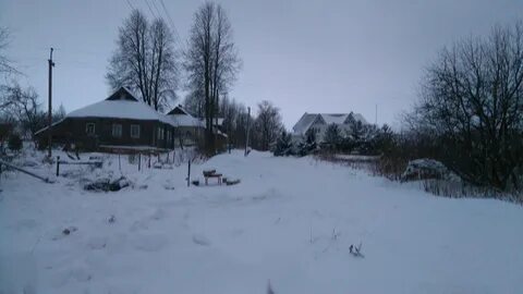 Погода в усадище