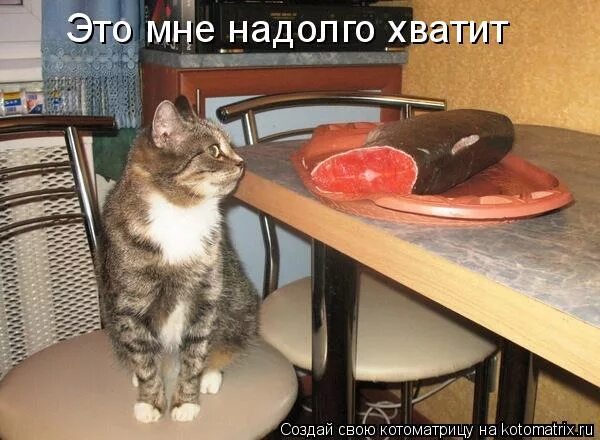 Надолго как пишется слитно или раздельно. Надолго хватит. Как выбрать телефон прикол. Надолго хватит. Ненадолго как пишется.