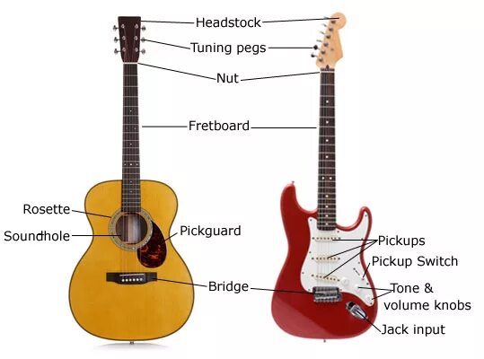 Классическая и акустическая гитара. Акустическая гитара отличия. Анатомия гитары. Разница между акустической и классической гитарой. Отличие электрогитар