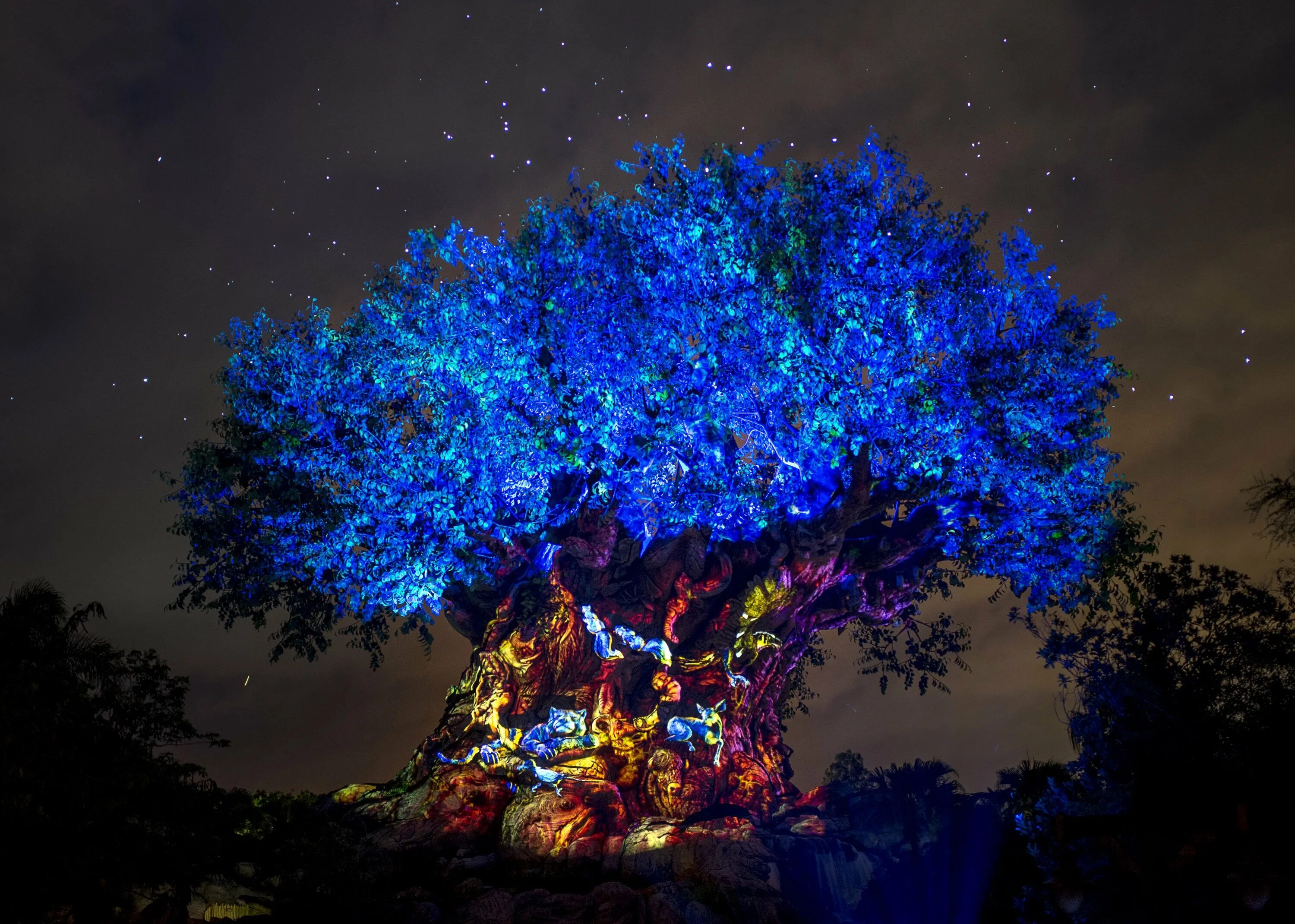 Инсталляция свет bruce munro. Море звезд на острове ваадху мальдивы. Планета пандора аватар джунгли. Пляж ваадху мальдивы. Пандора аватар 2.