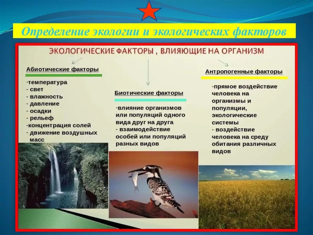 Абиотическими факторами природной среды. Абиотические и биотические факторы. Абиотические факторы- это экологические факторы среды. Дэкологические фактор. Экологические факторы примеры.