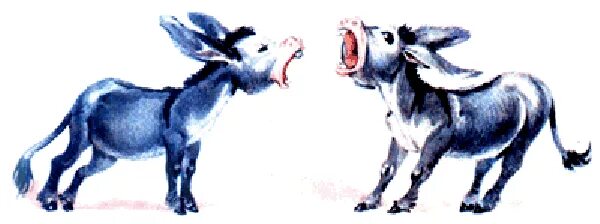 Как кричит ослик. Ослик кричит. упрямый ишак. упрямый осёл. упрямый ослик.