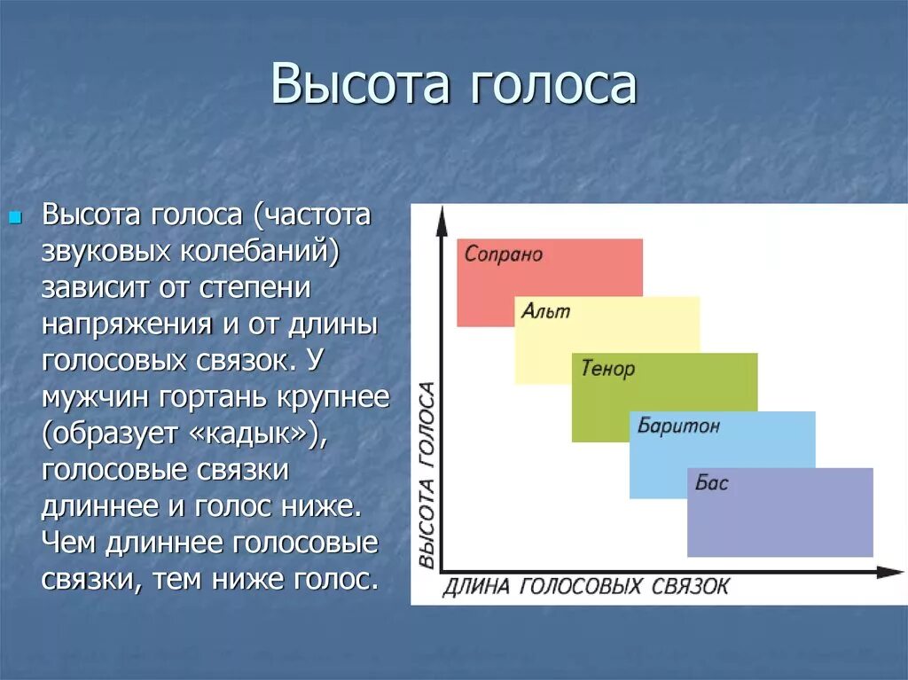 Высота голоса. Сила высота и тембр голоса. Высота голоса зависит. Мужские и женские голоса. Выбери высокий женский голос