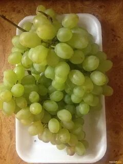 Виноград киш