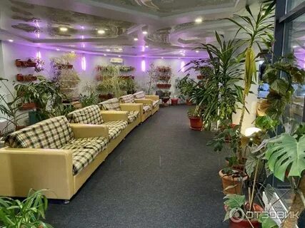 Цветы кировск