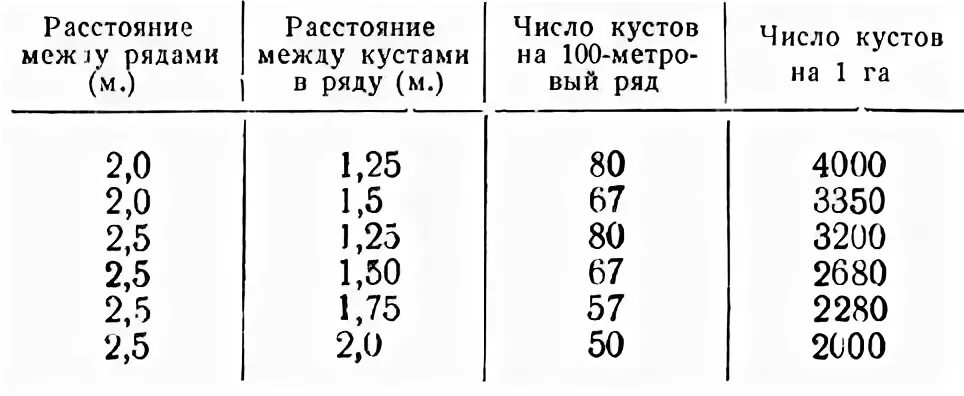 Персик. Интенсификация производства agrihelp.info