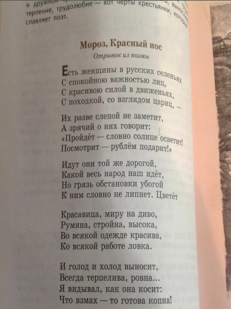 Отрывок о красной. Отрывок из поэмы Некрасова Мороз красный нос. Стих Мороз красный нос Некрасов 5 класс. Мороз красный нос отрывок 5 класс литература.