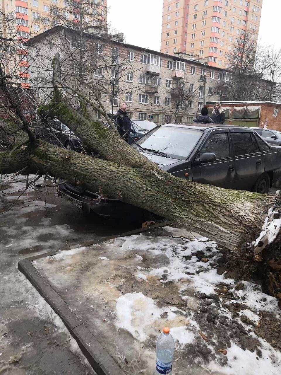 Происшествия чехова московская область. Дерево упало на капот. Упавшее дерево на героев стратосферы. Дерево упало на машину улица Гайдара. Упало дерево Щербакова 7.