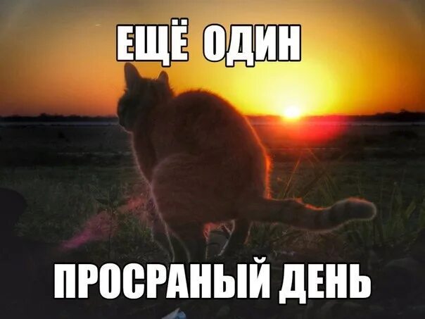 Вот уж день завершен. Еще один день. ещё один день завершился. еще один день прошел. еще один день прожит.