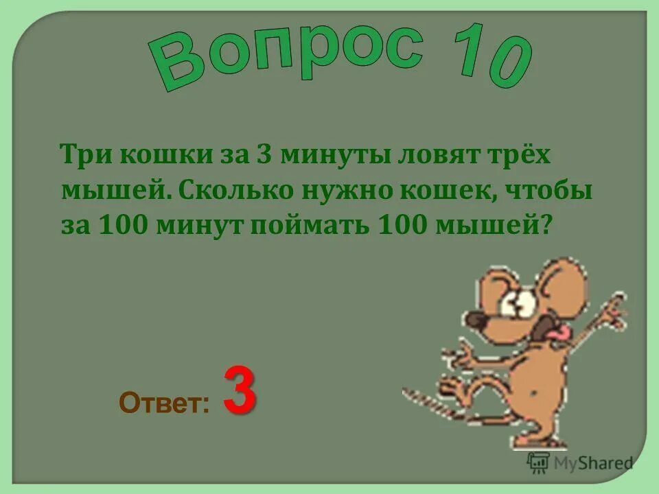 Ловите 100