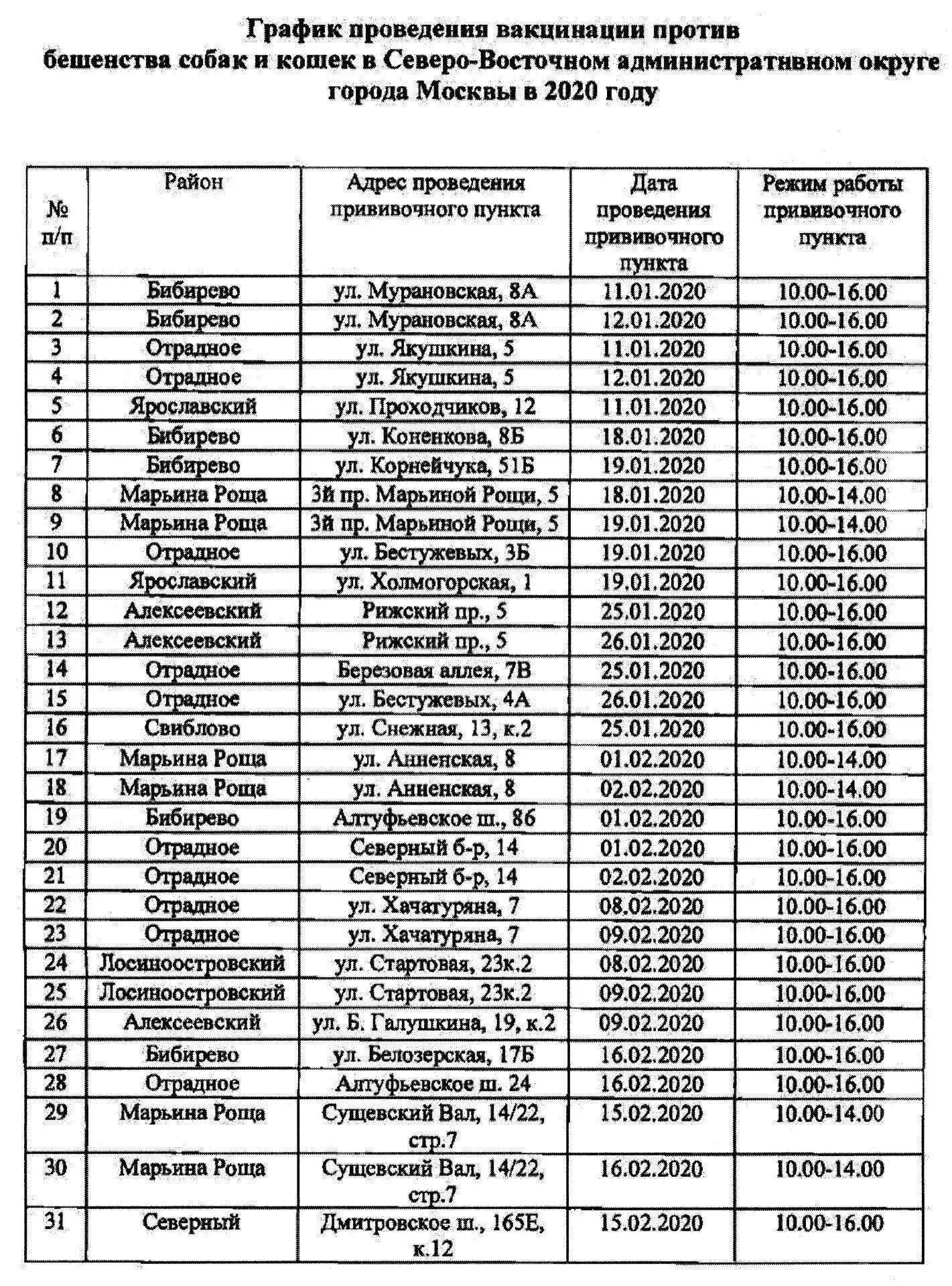 Вакцинация животных 2024 график. Вакцинация собак от бешенства график. График прививок для кошек. График прививок от бешенства кошкам. Схема вакцинации кошек от бешенства.