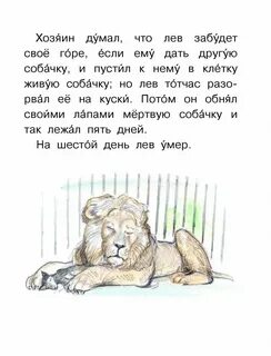 Рассказ льва николаевича толстого лев и собачка