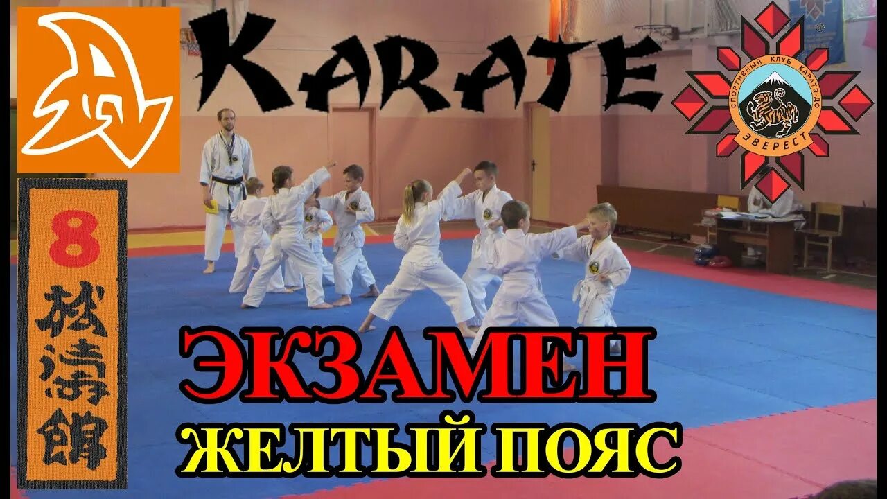 Шотокан каратэ красный пояс. Сдача на пояса по каратэ. Карате экзамены. Экзамен каратэ. Карате экзамены.