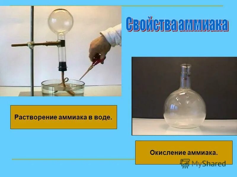 Аммиак и вода. Растворение аммиака в воде. растворение аммиака в воде опыт. растворимость аммиака в воде.