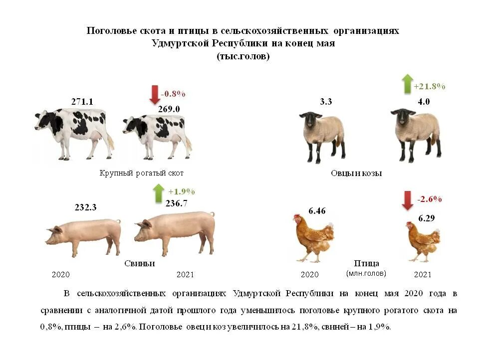 Страны по поголовью крупного рогатого. Поголовье крупного рогатого скота. Увеличение поголовья скота. Поголовье птиц. Поголоалн КРС на конец 2021года.