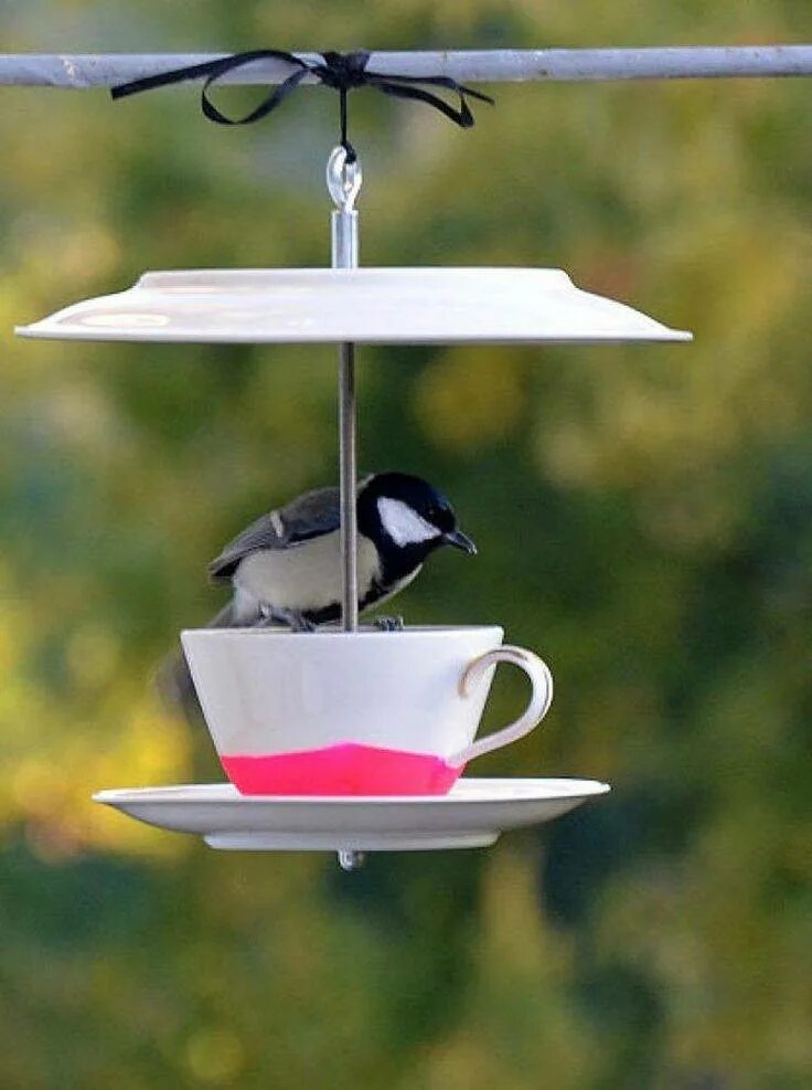 Кормушка для птиц. Самая оригинальная кормушка. Креативная кормушка. Оригинальные кормушки для птиц. Самая оригинальная кормушка.