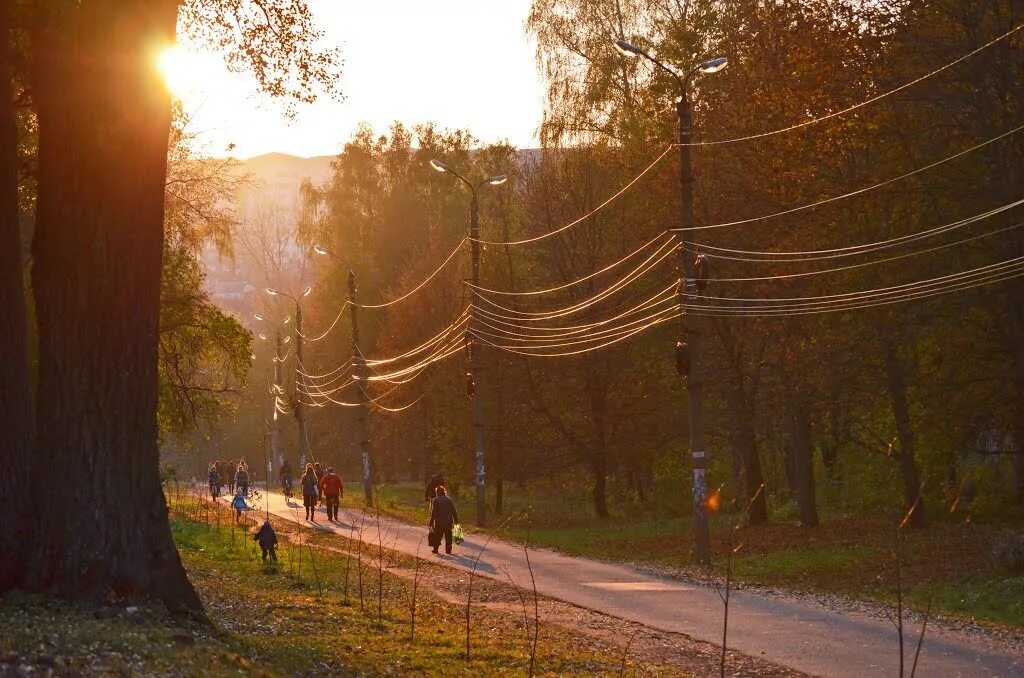 Боевка курск. Парк боевка Курск. Боева дача Курск. Парк 50 летия ВЛКСМ Курск. Парк Боева дача.