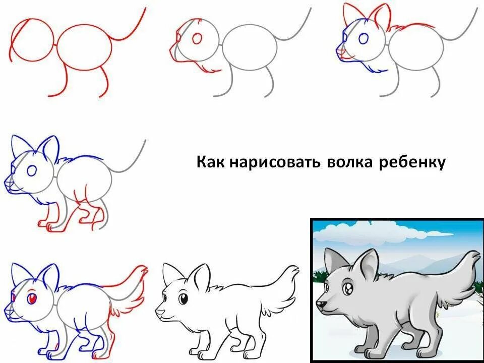 Поэтапное рисование волка. Поэтапное рисование волка для детей. Волк рисунок поэтапно. Поэтапное рисование волчонка. Волк поэтапно для детей