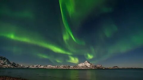 95. Львы освоятся на золотом прииске, Скорпионам улыбается Удача, а Весы пр...