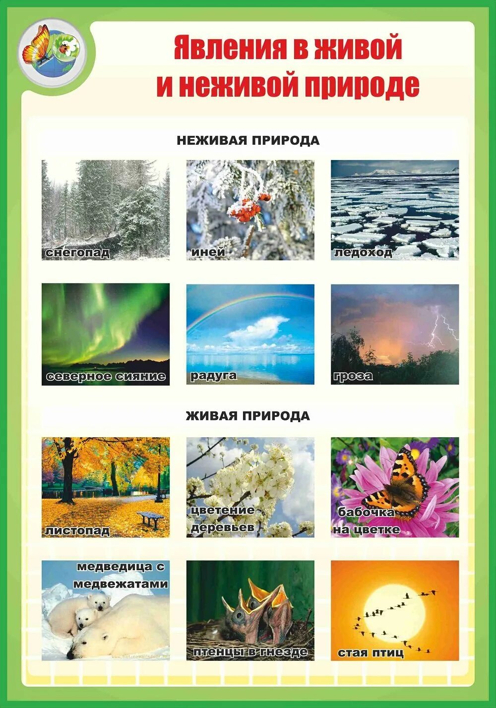 Примеры весенних явлений в неживой природе. Живая и ее Живая природа. Живая инедивая природа. Живыя не зивая природа. Живая и неживая природа.