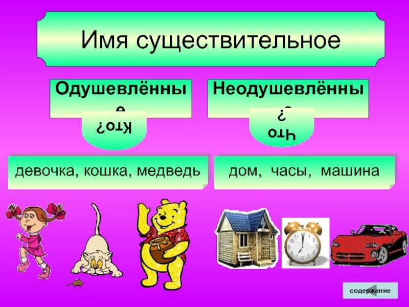 Каким признаком имени существительного является одушевленность