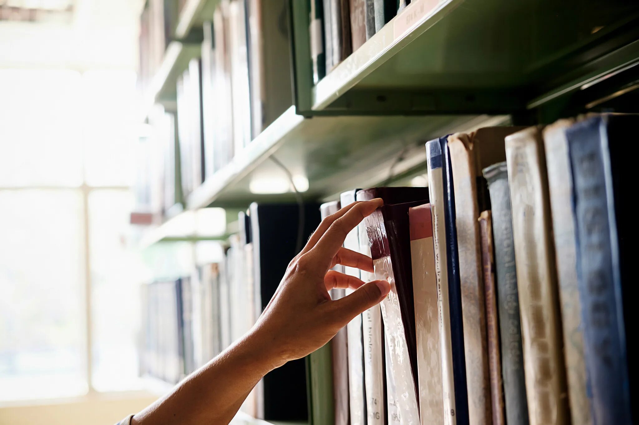 Много выборов книг. Книга на столе стоя. take a book.