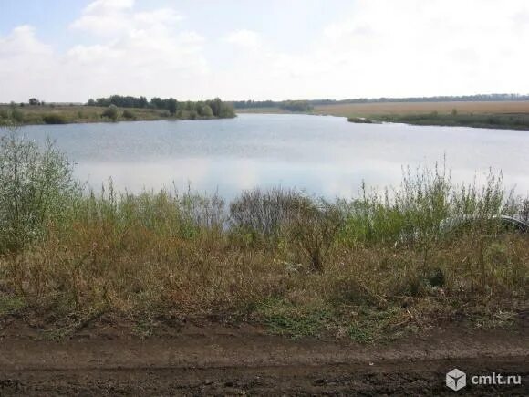 Кантемировский пруд воронежская область. Ул. Погода в гармашевке кантемировского. Погода в гармашевке кантемировского. Село писаревка воронежская область.