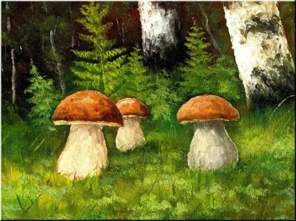 Лесные грибы картинки для детей