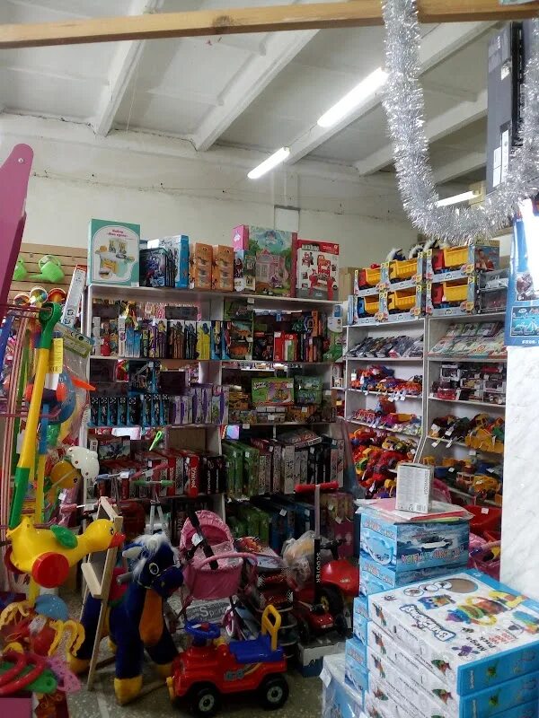 Фабрика мягкой игрушки алина невьянск. Торговый центр игрушек. Магазин игрушек дельфин пенза. Магазин игрушек дельфин пенза. Детские игрушки пенза магазины.