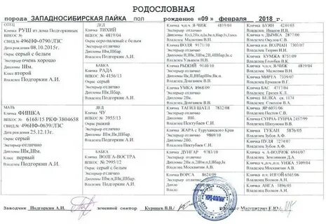 Клички охотничьих собак лайки