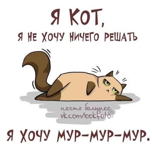 Скажи что нибудь на крысином. Вы не будете ничего решать. Приемлемо мем голубь. Шутка про изюминку в женщине. Вы не будете ничего решать.