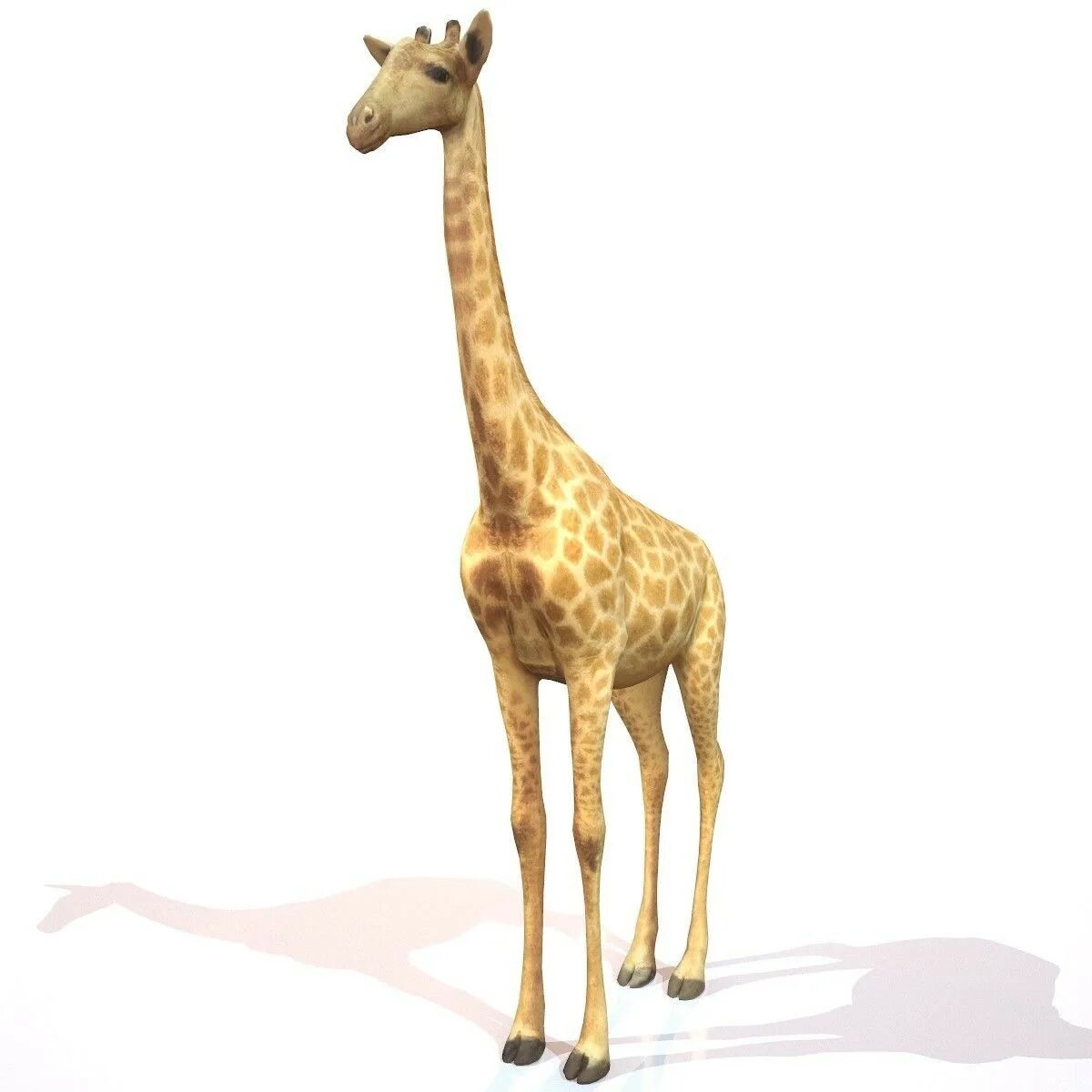 Мод на жирафа. Жираф пейперкрафт. Паперкрафт Жираф. Жираф 3д. 3d модель жирафа.