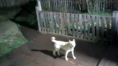 Песня потемнело на дворе скоро будет ночка