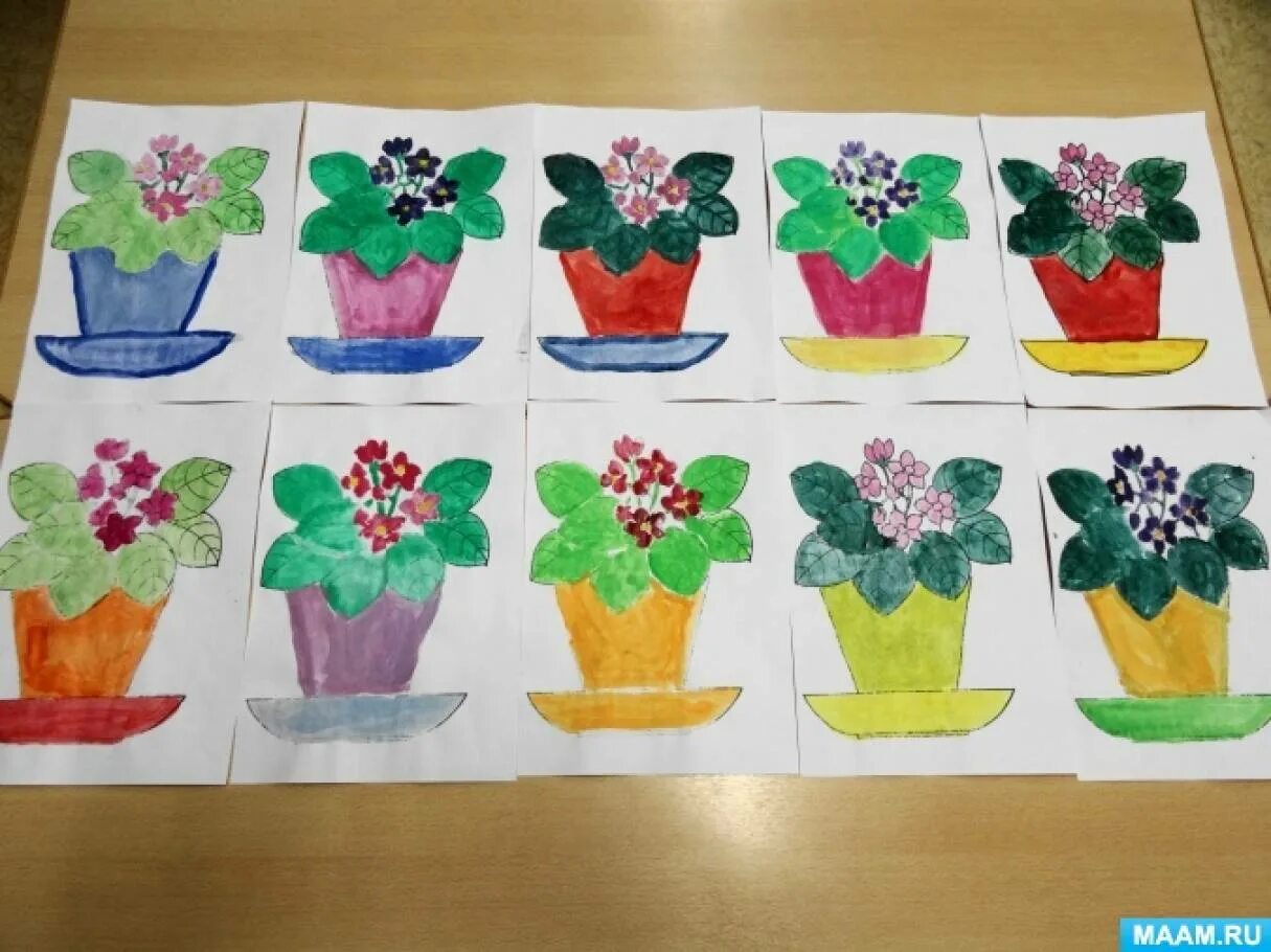 Рисование в подготовительной группе на тему комнатные растения. Рисование комнатные растения средняя группа. Рисование комнатные цветы средняя группа. Цветы подготовительная группа.
