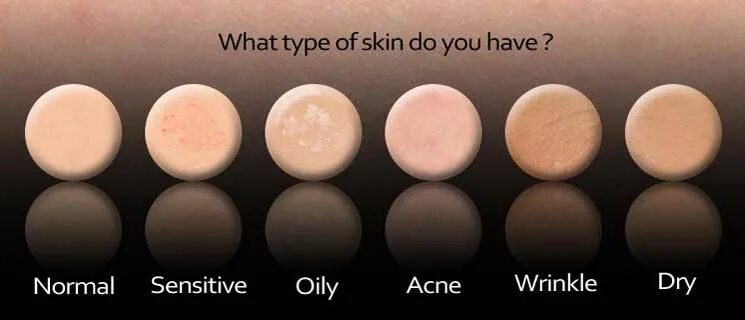 Skin Types. Combined Skin Type. Skin Type 6. Combinated Skin Type. Some type of skin