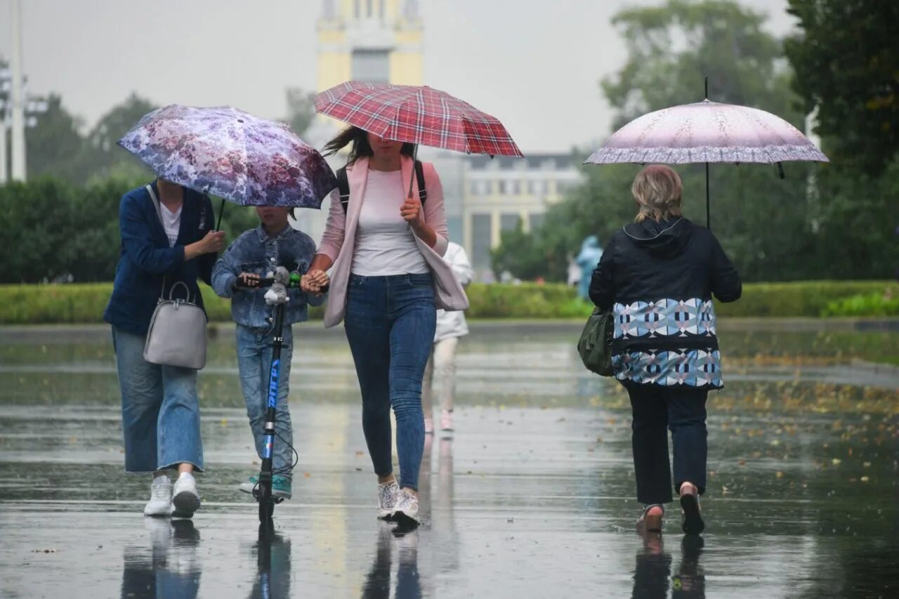 Дожди москва и область. Небольшой дождь. Дождливый день. Летний дождь в Москве. Небольшой летний дождь.