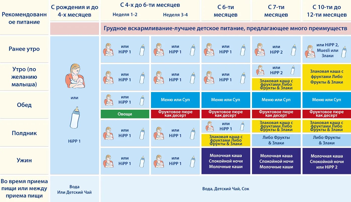 Кормление 12 месяцев. Питание 10 месячного ребенка меню. Примерное меню ребенка 11-12 месяцев на грудном вскармливании. Рацион 11 месячного ребенка на искусственном вскармливании. Питание ребёнка в 12 месяцев.