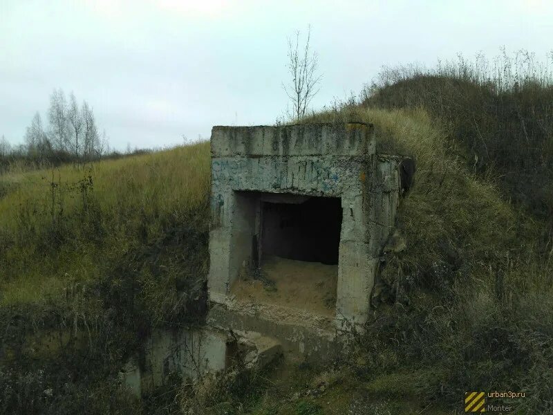 Под тог