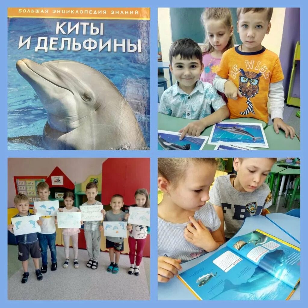 Всемирный день дельфинов и китов для детей. День китов и дельфинов в детском саду. Всемирный день китов и дельфинов. 23 июля всемирный день китов и дельфинов. День китов и дельфинов в детском саду планирование.