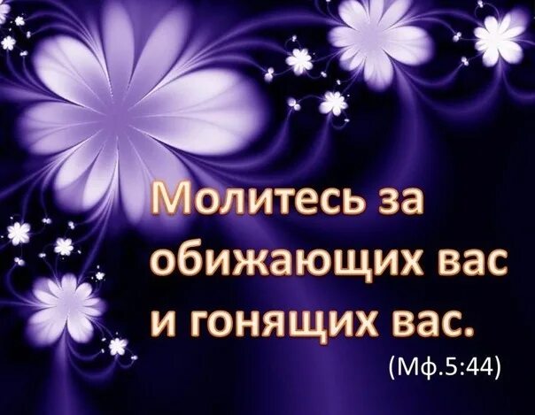 Благословляйте обижающих вас. Молитесь за обижающих вас благословляйте проклинающих. Молитесь за обижающих вас. Любите врагов ваших благословляйте проклинающих вас. Молитесь за обижающих вас Библия.