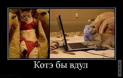 Вдул ей