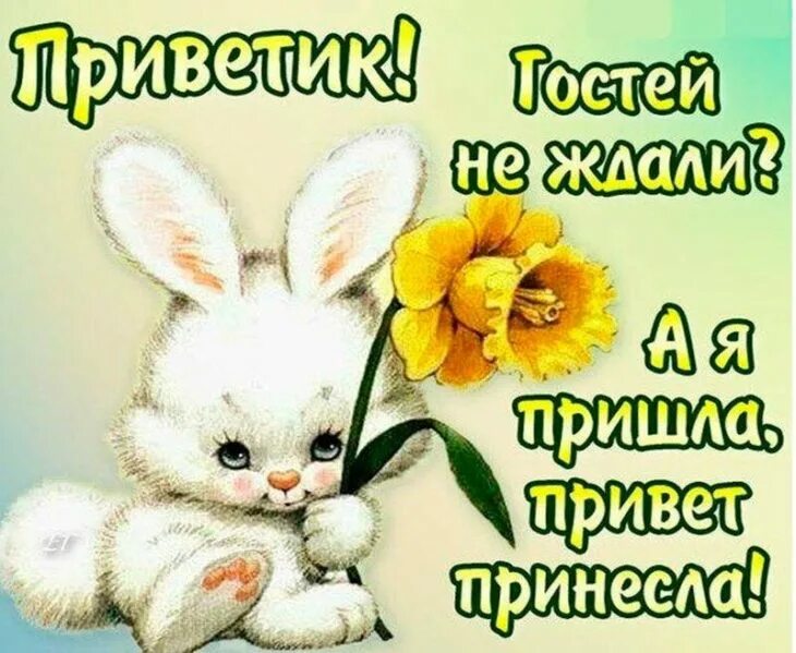 Открытки как дела. Привет как делишки. Привет зайчик. Добрый день как ваши дела. Ваше дело картинки.