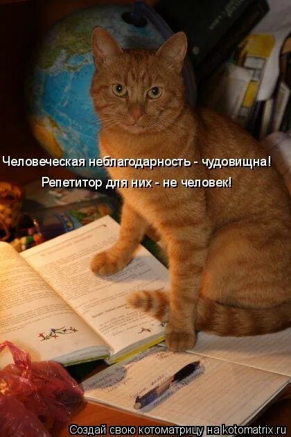 Неблагодарность. Неблагодарность людей. Людская неблагодарность не знает границ. Картинки о неблагодарности людей. Неблагодарность синоним